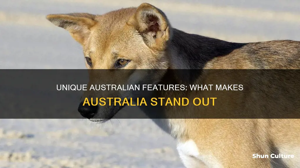 what does australia have that other countries don t