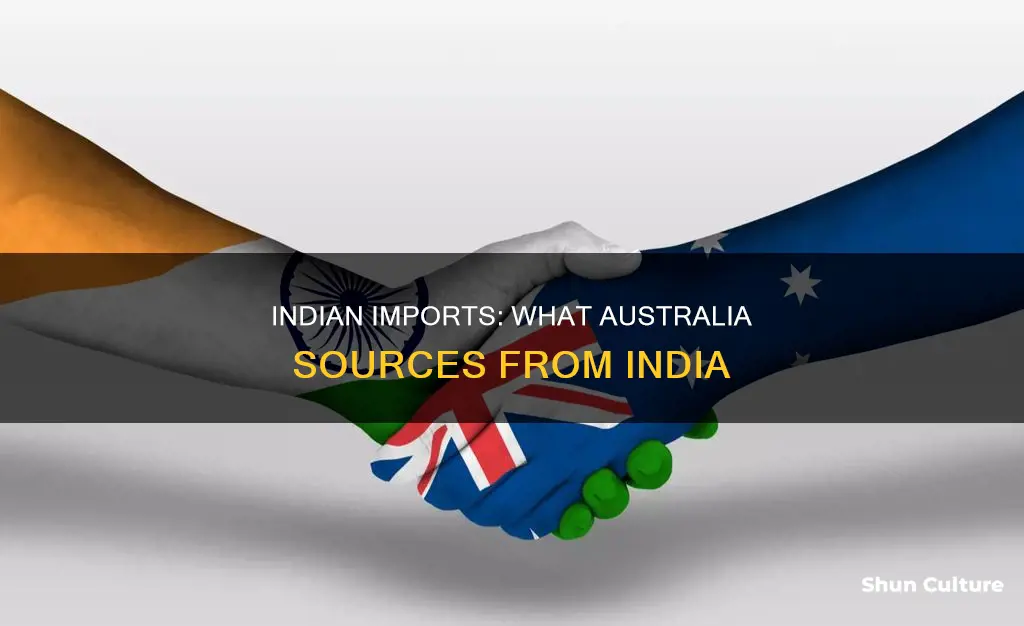 what does australia import from india