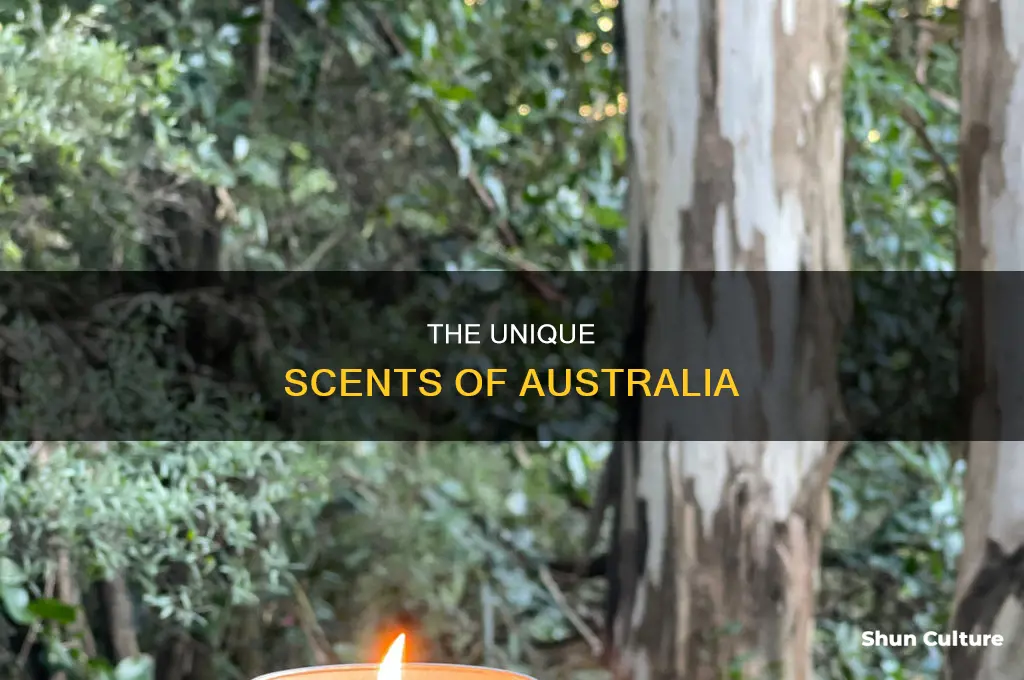what does australia smell like