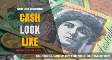 Australian Currency: Banknotes and Coins Explained