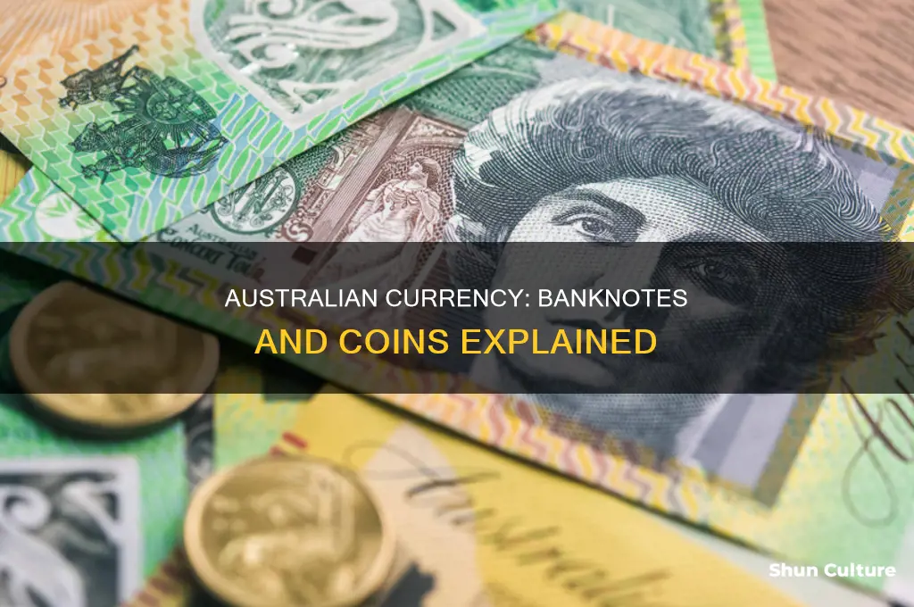 what does australian cash look like