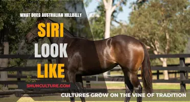 Siri's Aussie Hillbilly Cousin: What's the Look?