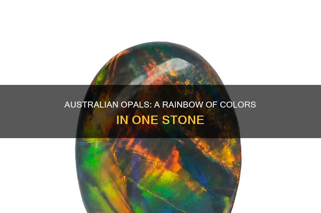 what does australian opal look like