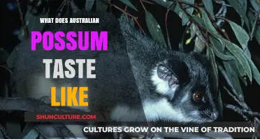 Possum Meat: An Australian Delicacy's Taste