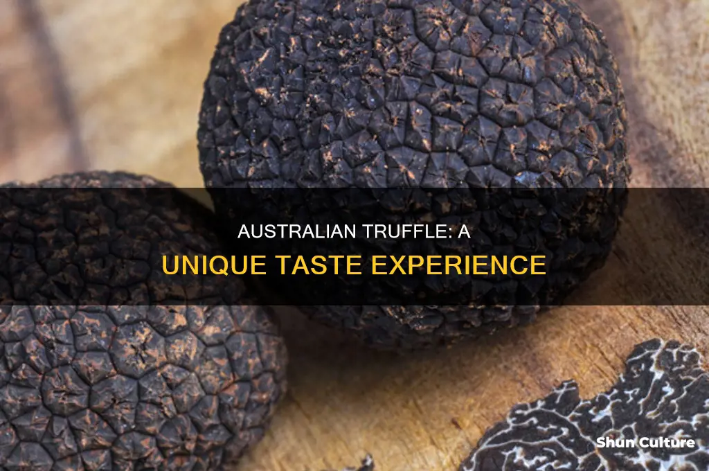 what does australian truffle taste like