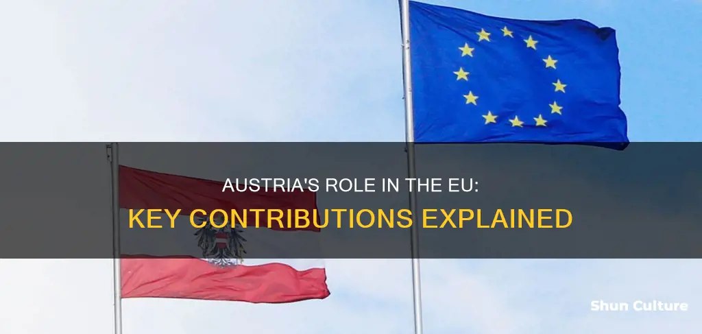 what does austria do for the eu