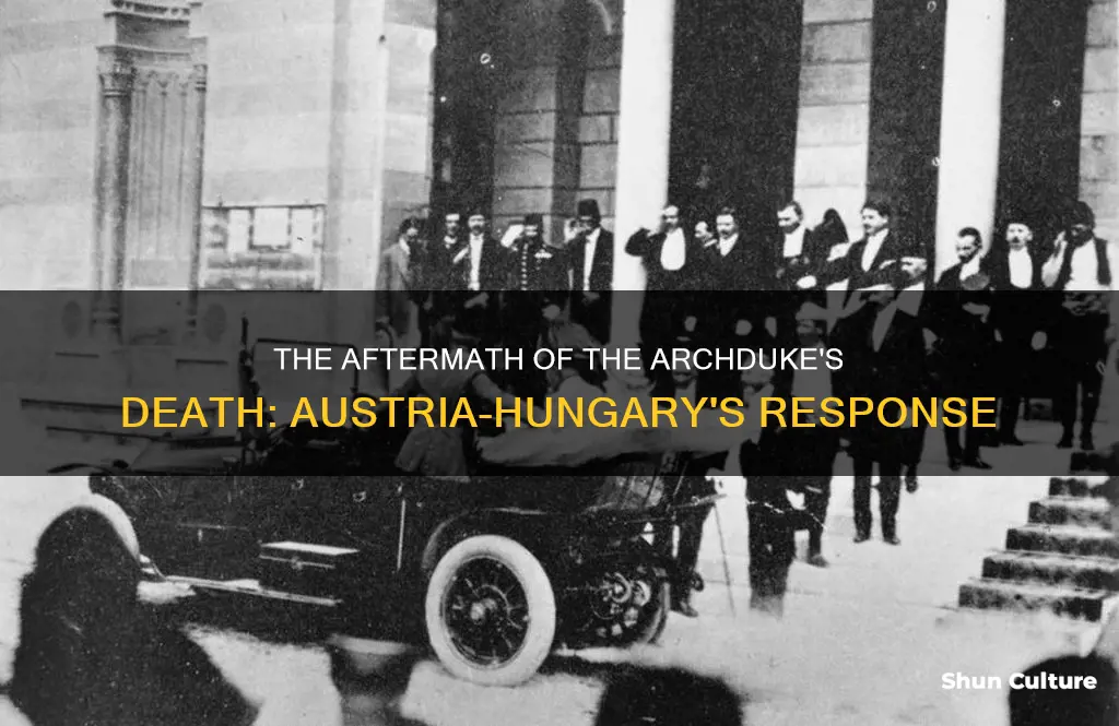 what does austria-hungary do after the assassination