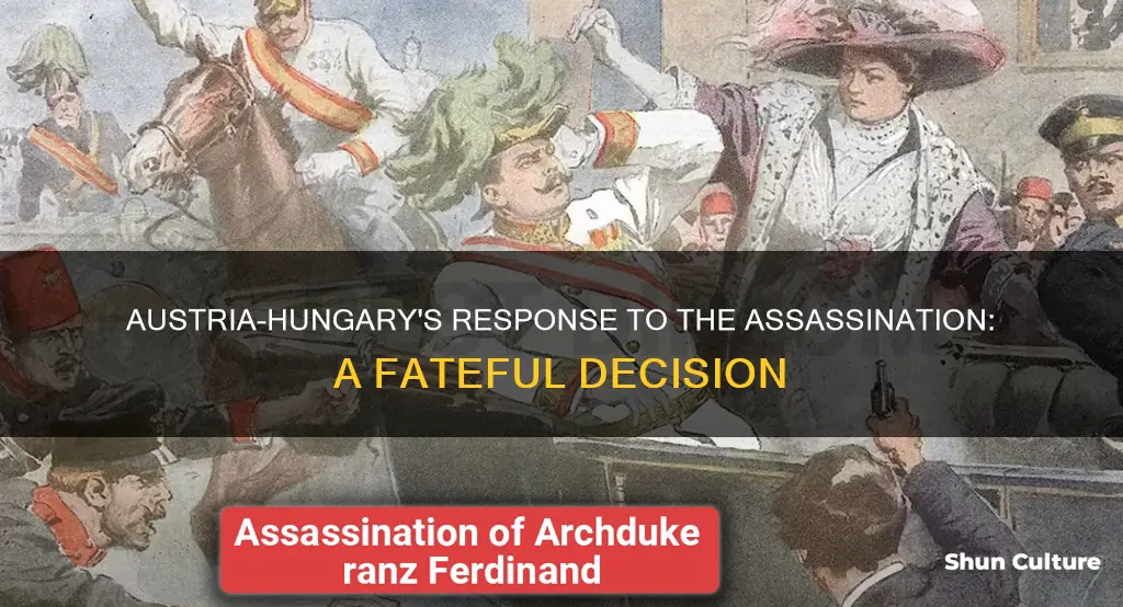 what does austria-hungary do after the assassination