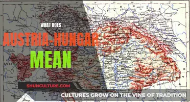 The Significance of Austria-Hungary: A Historical Overview