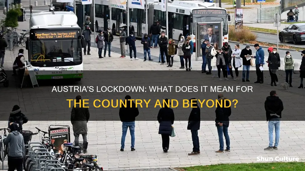 what does austria lockdown mean