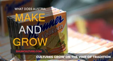 Austria's Industries: What's Made, Grown, and Produced?