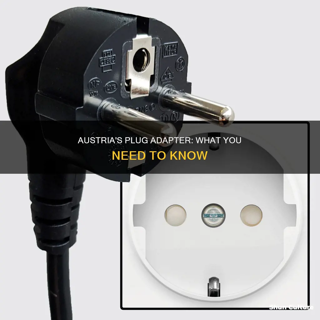 what does austria plug adapter look like