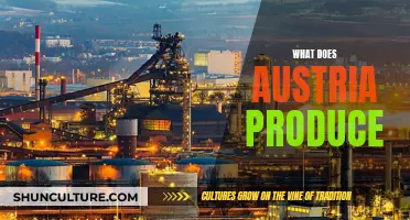 Austria's Industrial Might: Unveiling Its Economic Powerhouse Products