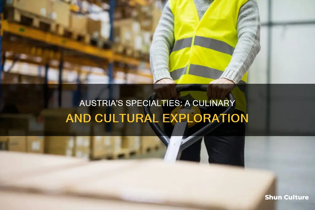 what does austria produce