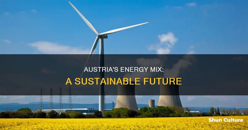 what does austria rely on for energy