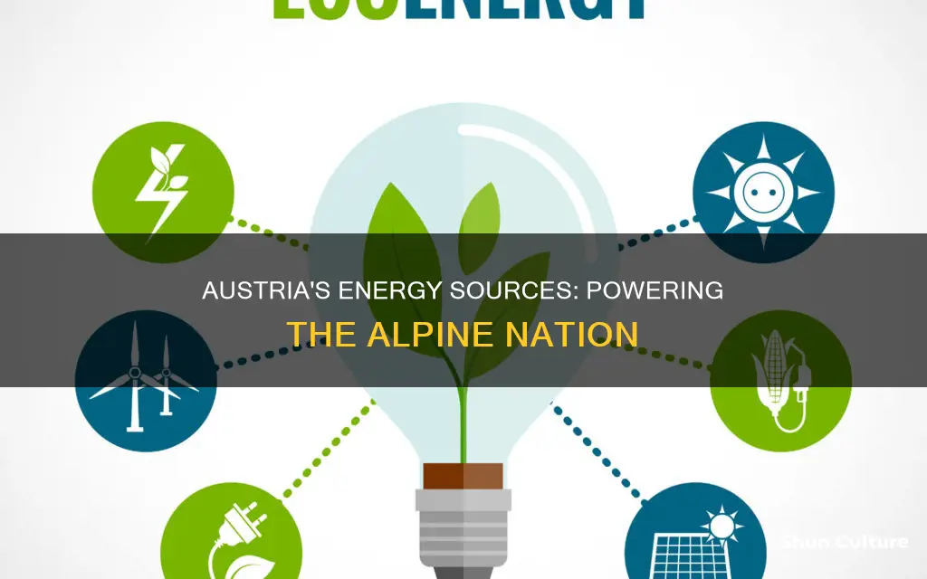 what does austria rely on for energy