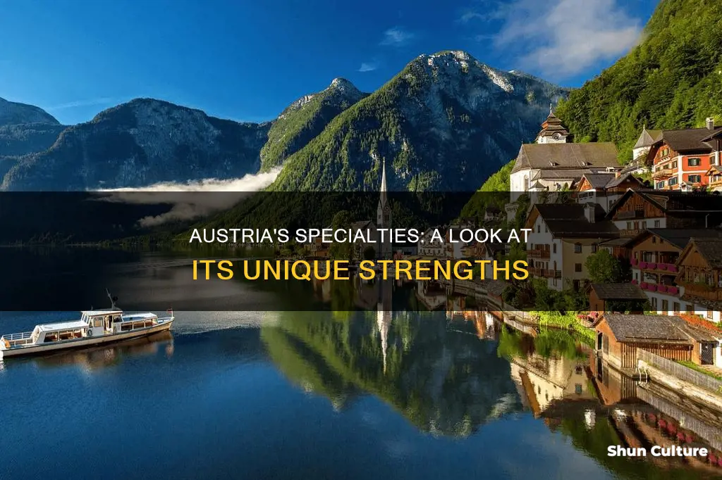 what does austria specialize in