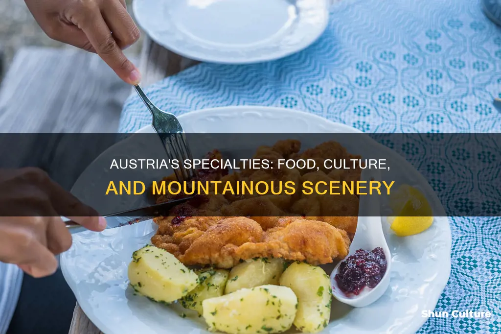 what does austria specialize in