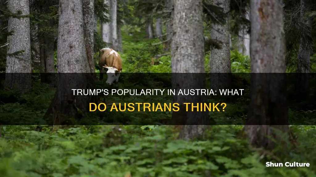 what does austria think of trump
