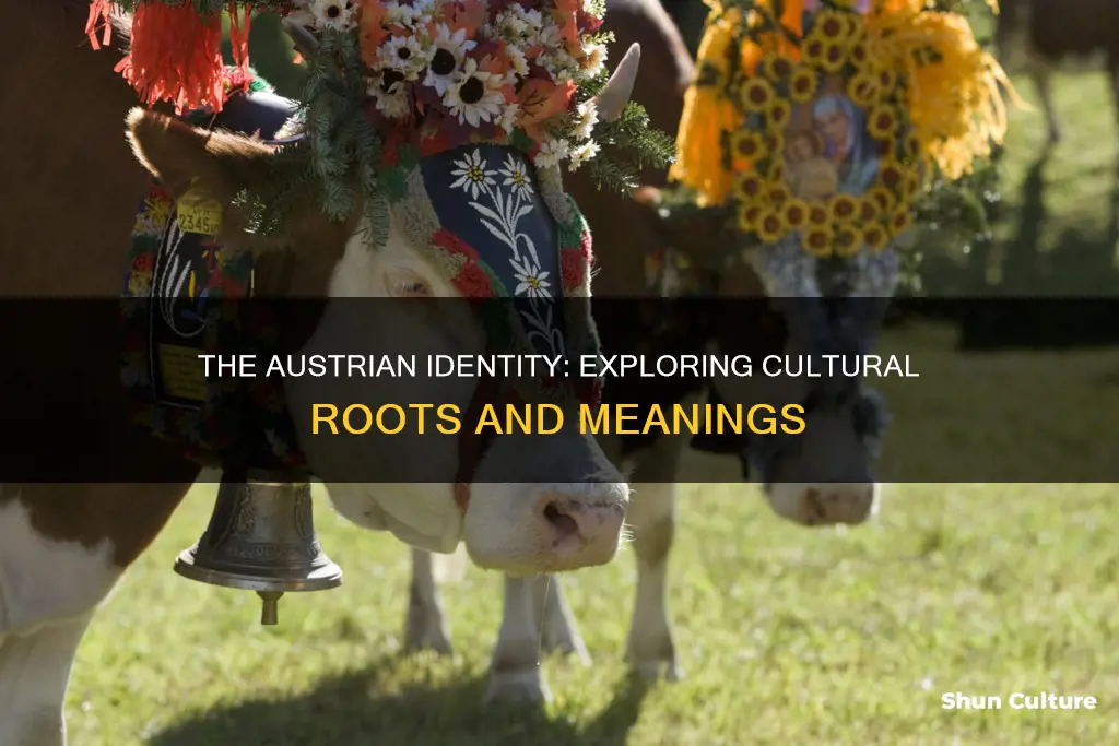 what does austrian mean