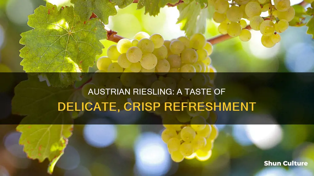 what does austrian riesling taste like