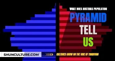 Austria's Population Pyramid: Insights into a Changing Society