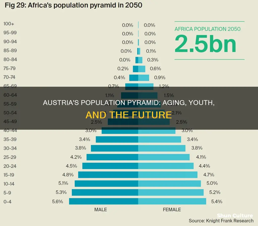 what does austrias population pyramid tell us