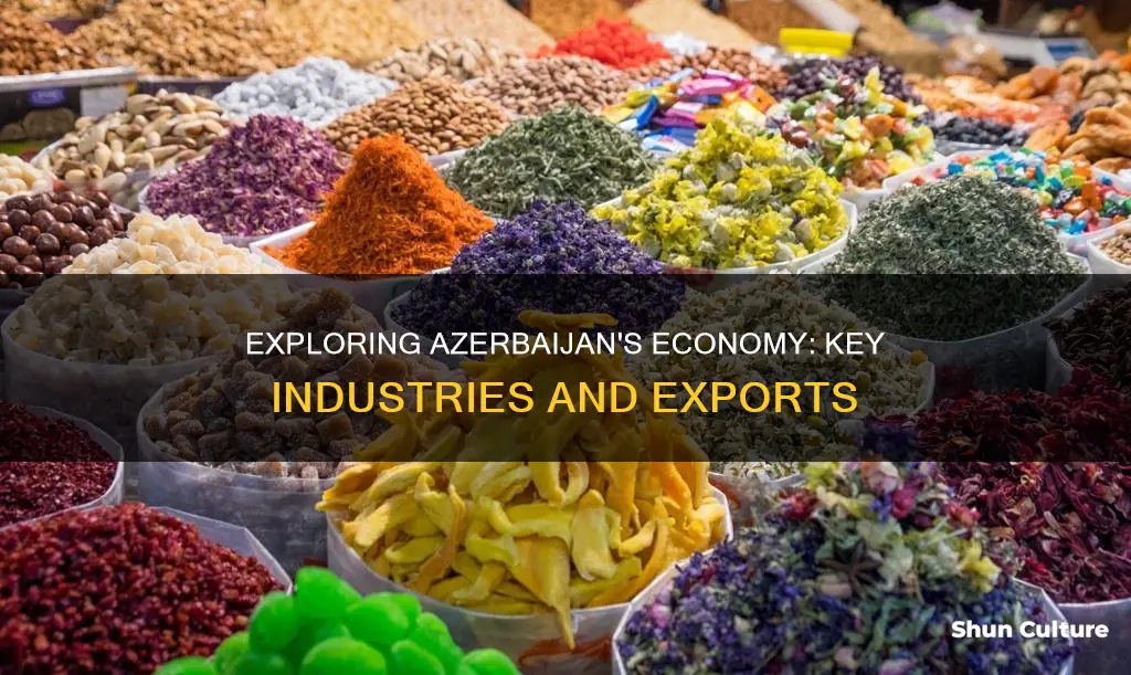 what does azerbaijan produce