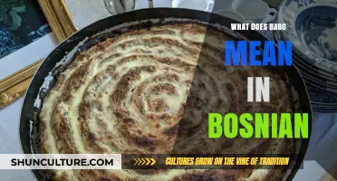Understanding the Meaning of 'Babo' in Bosnian Language and Culture
