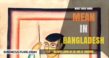 Understanding Babu: A Cultural Term in Bangladesh Explained