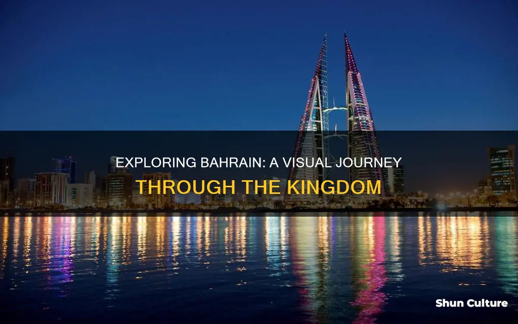 what does bahrain look like