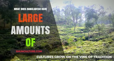 Bangladesh's Abundant Natural Resources: Exploring the Country's Wealth and Potential