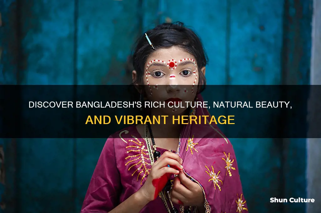 what does bangladesh have to offer