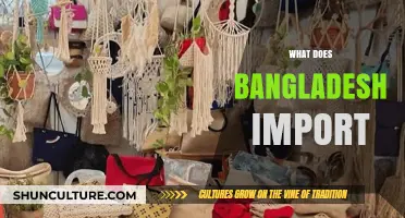 Exploring Bangladesh's Import Landscape: Key Goods and Trade Partners
