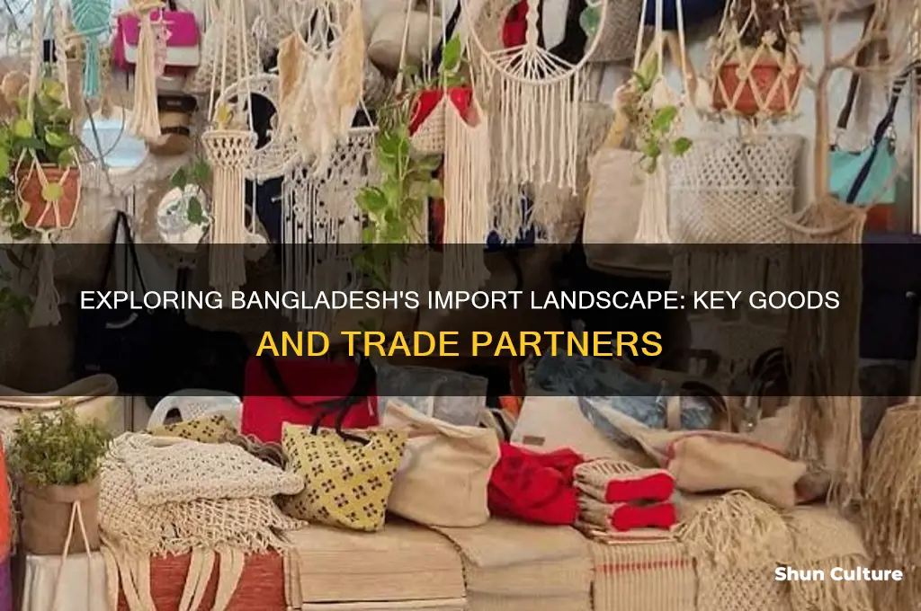 what does bangladesh import