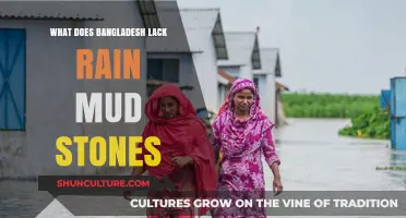 Bangladesh's Climate Conundrum: Missing Rain, Mud, and Stones Explained