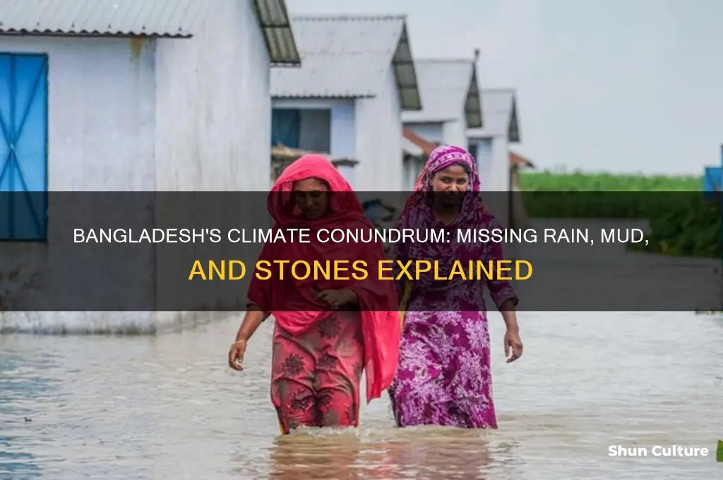 what does bangladesh lack rain mud stones