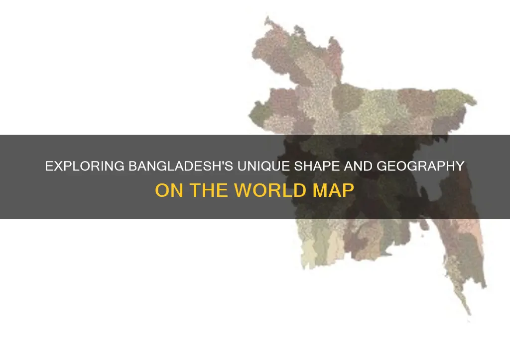 what does bangladesh look like on a map