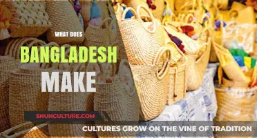 Exploring Bangladesh's Diverse Manufacturing and Export Industries: What Does Bangladesh Make?