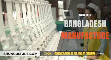 Exploring Bangladesh's Manufacturing Sector: Key Products and Industries