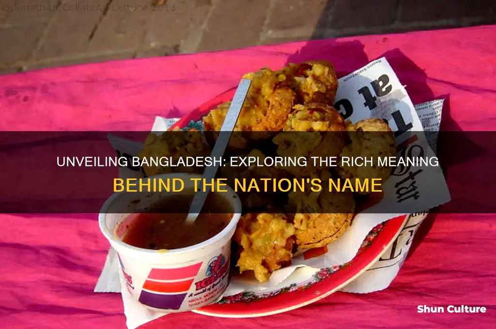 what does bangladesh mean