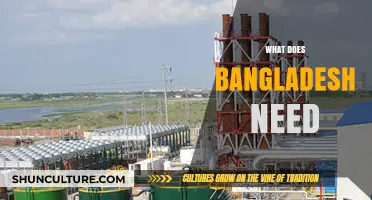 Unlocking Bangladesh's Potential: Key Priorities for Sustainable Growth and Development