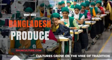 Exploring Bangladesh's Diverse Economy: Key Products and Exports Revealed