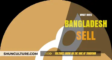 Exploring Bangladesh's Top Exports: What Does Bangladesh Sell Globally?