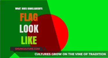 Unveiling Bangladesh's Flag: Colors, Symbolism, and National Pride Explained