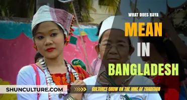 Understanding Baya: Cultural Significance and Meaning in Bangladesh Explained