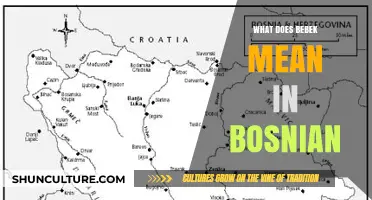 Understanding the Meaning of Bebek in Bosnian Language and Culture