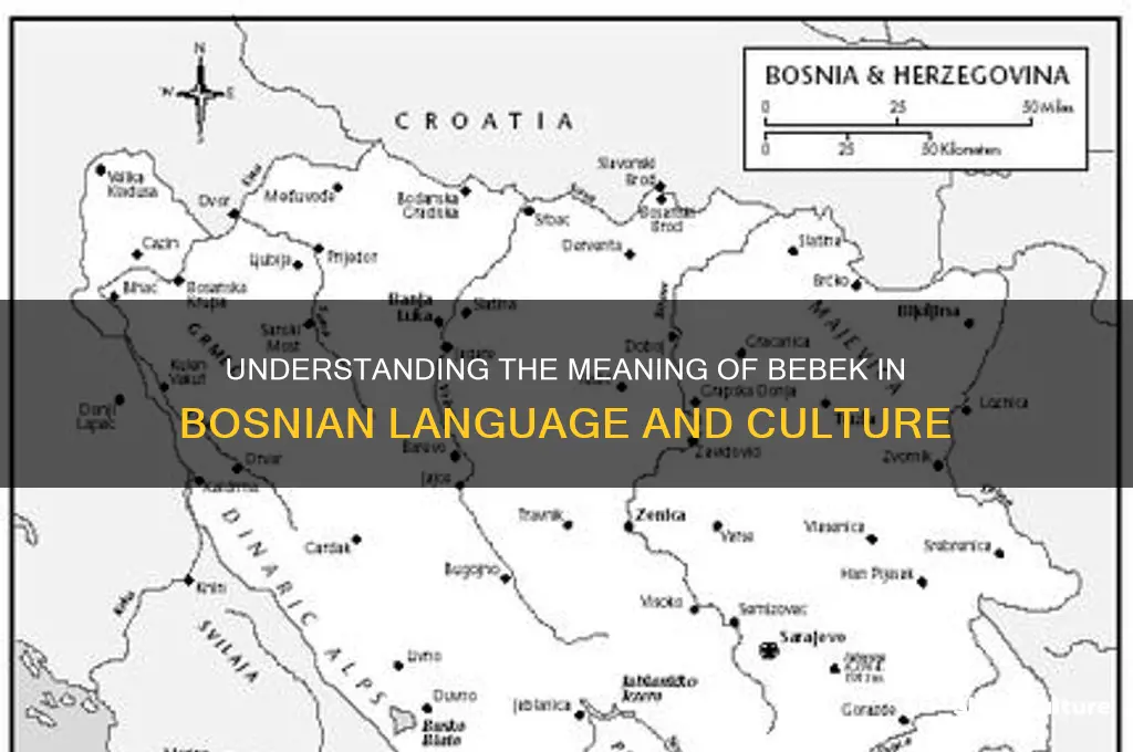 what does bebek mean in bosnian