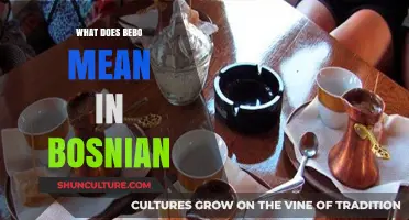 Understanding the Meaning of 'Bebo' in Bosnian Language and Culture