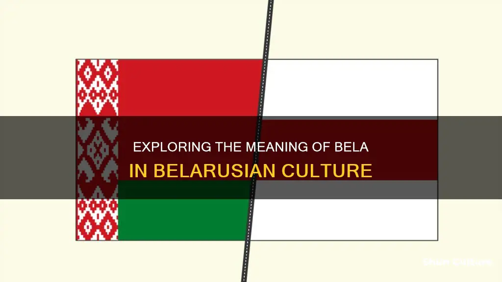 what does bela mean in belarus